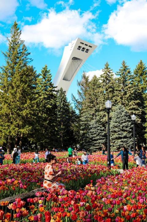 Mtlvacationrentals-The Mtlvr Kisses Montréal Extérieur photo